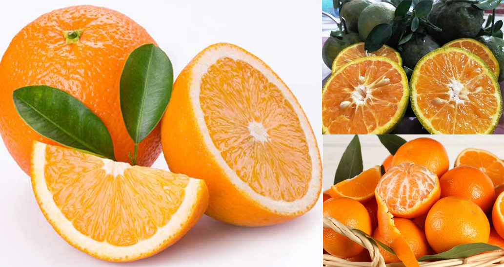 Quả cam Canh giá bao nhiêu trên thị trường   Fuji Fruit  Hệ thống hoa quả  sạch nhập khẩu Fuji