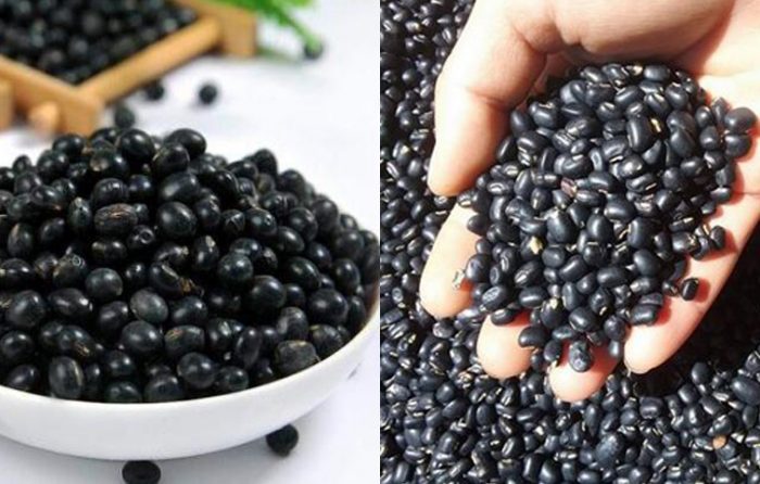 Tác dụng của hạt đậu đen là gì và cach dùng hạt đậu đen chữa bệnh