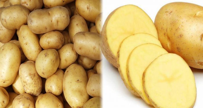 Tác dụng của khoai tây đối với sức khỏe và cách dùng khoai tây