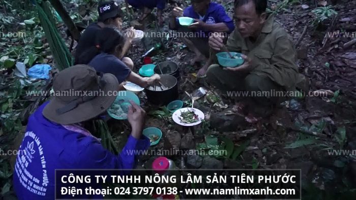Cách sơ chế nấm lim xanh của thợ đi rừng và cách nấu nấm lim xanh Quảng Nam