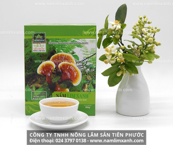 Giá nấm lim xanh Lào bao nhiêu 1kg với giá mua nấm lim rừng Lào chuẩn