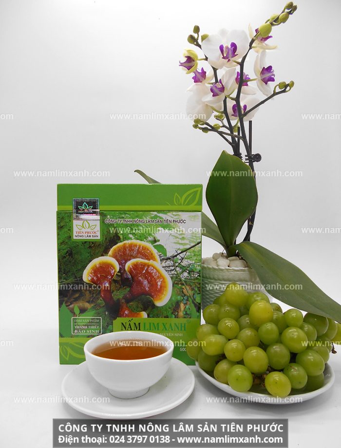 Bán nấm lim xanh ở Đà Nẵng và địa chỉ bán nấm lim rừng Tiên Phước