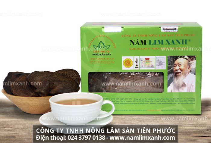 Nơi mua nấm lim xanh ở Hà Nội uy tín địa chỉ đại lý bán nấm lim xanh Hà Nội