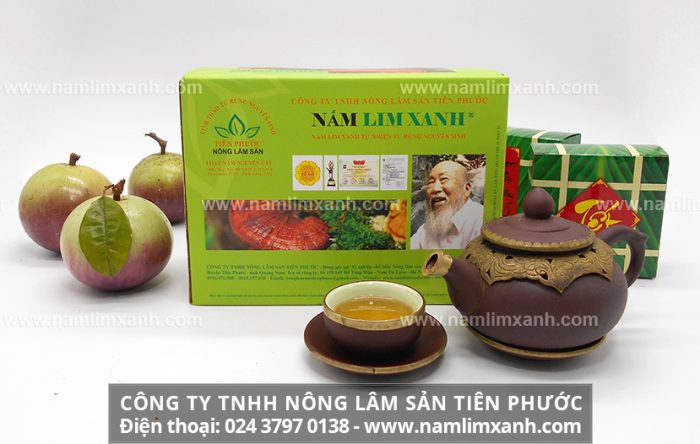 Công ty Nấm lim xanh Tiên Phước có bán nấm cây lim rừng chất lượng