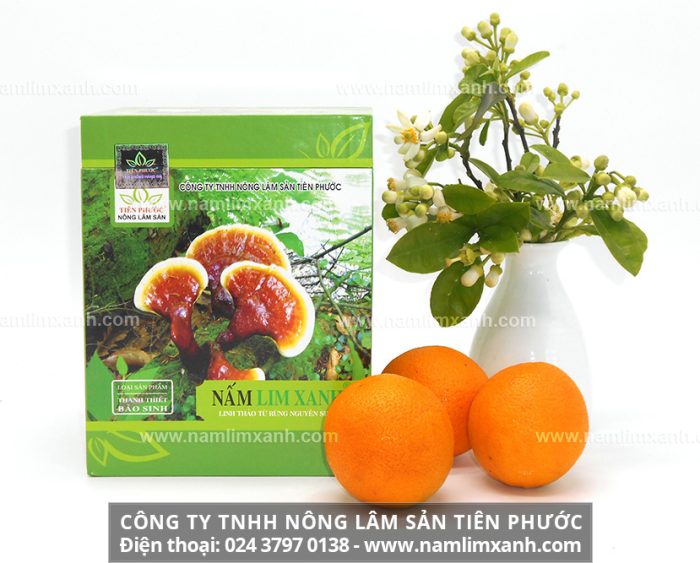 Giá nấm lim xanh Lào bao nhiêu và nơi bán nấm cây lim xanh tại Đà Nẵng