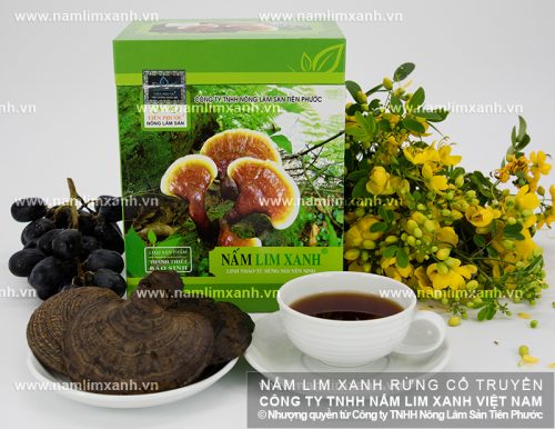 Sản phẩm nấm lim xanh của Công ty TNHH Nông lâm sản Tiên Phước đảm bảo chất lượng tốt nhất