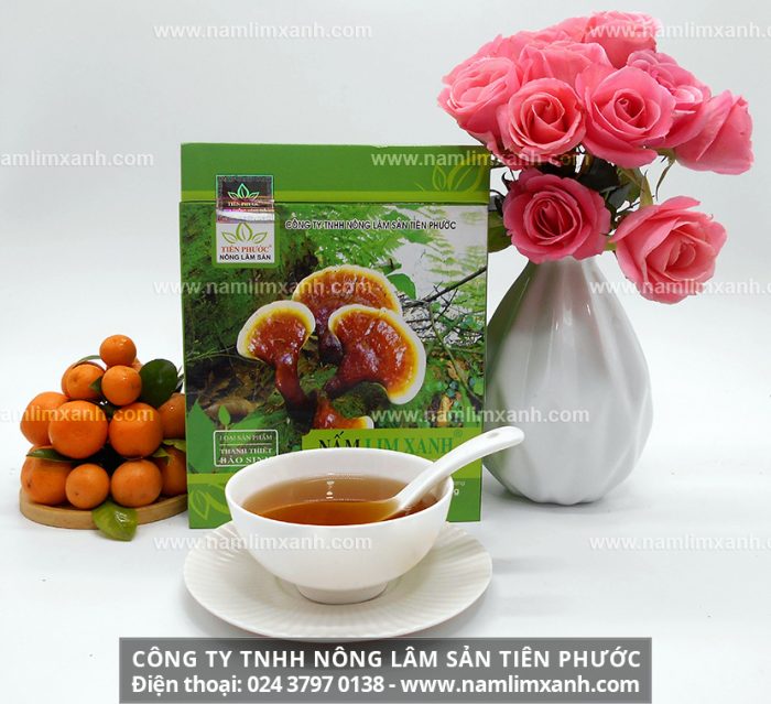 Nấm lim xanh của Công ty TNHH Nông lâm sản Tiên Phước đảm bảo chất lượng