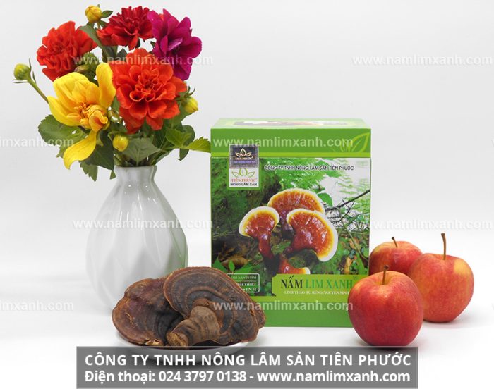 Nấm lim xanh của Công ty TNHH Nông lâm sản Tiên Phước được nhiều người tin dùng