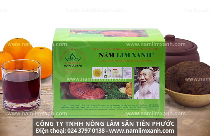 Nấm lim xanh tại Hà Nội có ở đâu và cơ sở bán nấm lim ở Hà Nội