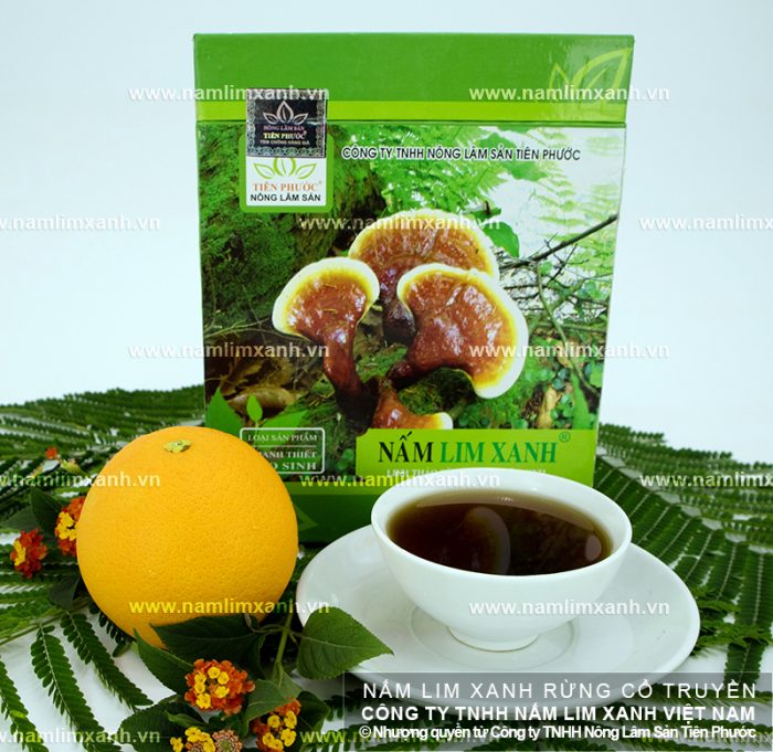 Nấm lim xanh Công ty TNHH Nông lâm sản Tiên Phước an toàn và đảm bảo chất lượng.