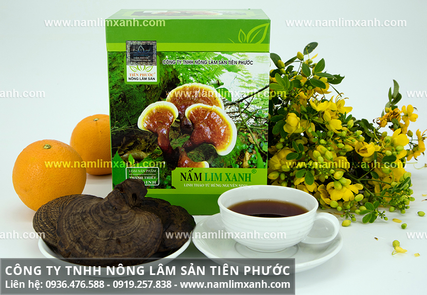 Nấm lim xanh tại Hà Nội và mua nấm cây lim xanh rừng tại Hà Nội ở đâu?