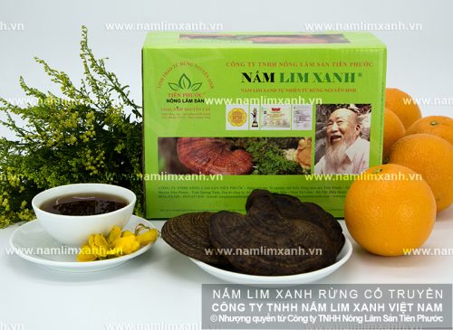 Sản phẩm nấm lim xanh của Công ty TNHH Nông lâm sản Tiên Phước đảm bảo chất lượng tốt nhất