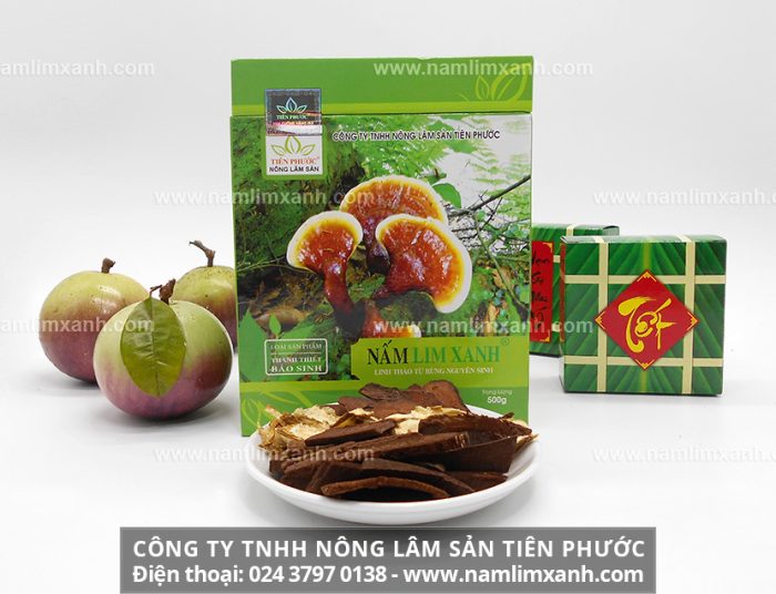 Nơi mua nấm lim xanh ở Hà Nội và địa chỉ bán nấm lim xanh rừng uy tín