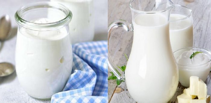 Thành phần dược chất của sữa có tác dụng gì với sức khỏe
