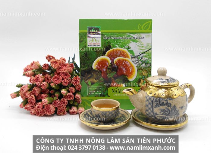 Công ty TNHH Nấm lim xanh Việt Nam chuyên phân phối nấm lim xanh chính hãng