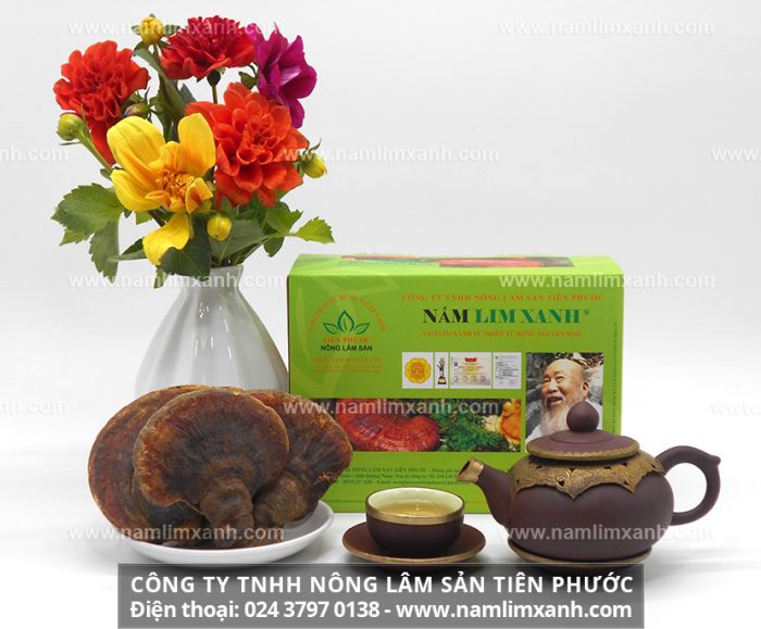 Địa chỉ bán nấm lim xanh Tiên Phước Quảng Nam ở An Giang và Sản phẩm nấm lim xanh của Công ty TNHH Nấm lim xanh Việt Nam