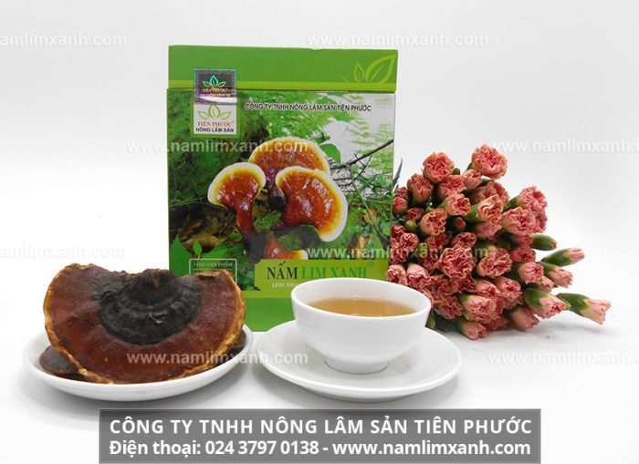 Địa chỉ bán nấm lim xanh chính hãng tại Bình Dương của Công ty TNHH Nấm lim xanh Việt Nam
