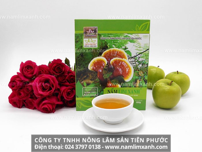 Địa chỉ bán nấm lim xanh chính hãng tại Cà Mau của Công ty TNHH Nấm lim xanh Việt Nam