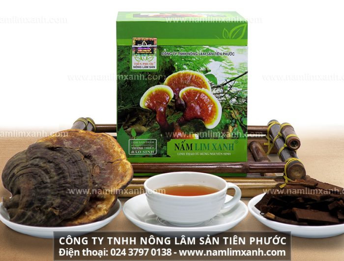 Địa chỉ bán nấm lim xanh chính hãng tại Long An của Công ty TNHH Nấm lim xanh Việt Nam
