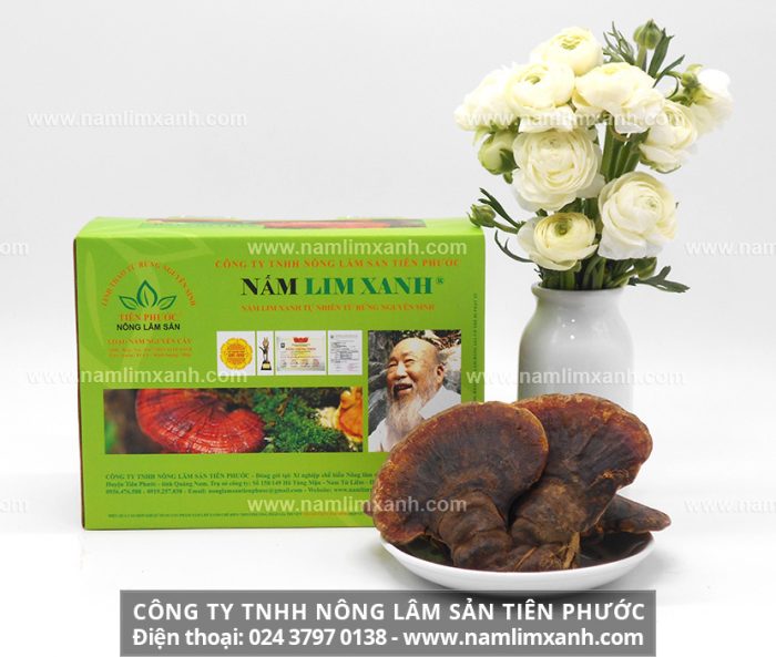 Địa chỉ bán nấm lim xanh tại Hải Phòng phân phối bởi Công ty TNHH Nấm lim xanh Việt Nam