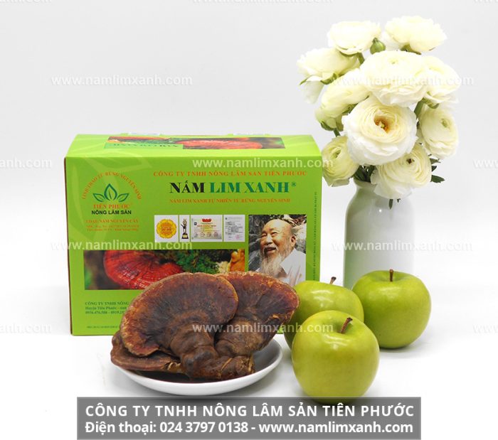 Giá bán nấm lim xanh Quảng Nam và cách sử dụng nấm lim rừng Tiên Phước