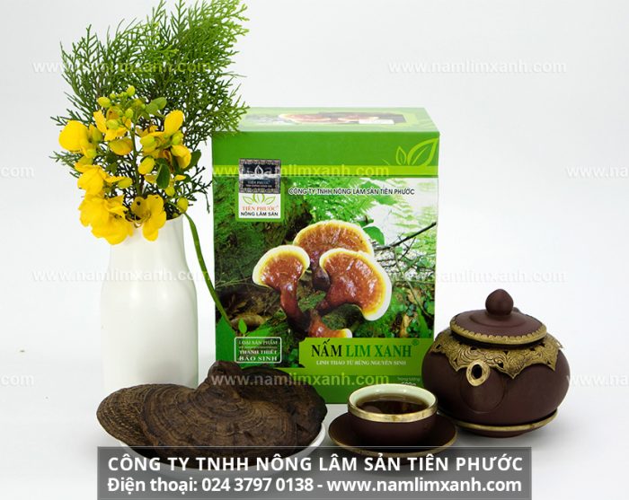 Giá bán nấm lim xanh luôn được niêm yết bởi Công ty TNHH Nấm lim xanh Việt Nam và công dụng của nấm lim xanh Quảng Nam