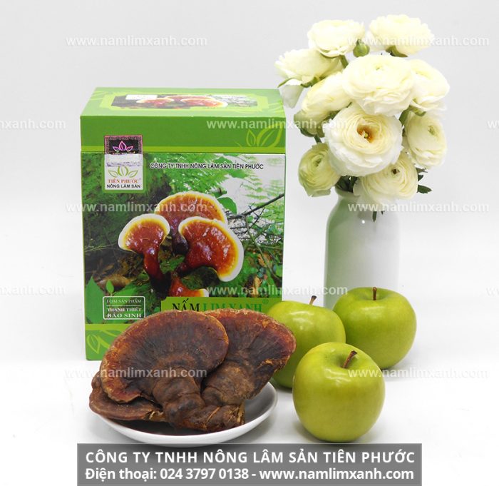 Giá bán sản phẩm nấm lim xanh được niêm yết bởi Công ty TNHH Nấm lim xanh Việt Nam và đại lý mua nấm lim tại Trà Vinh