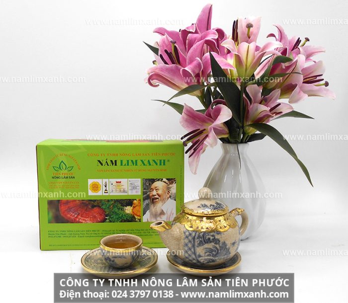 Giá sản phẩm nấm lim xanh Nguyên cây của Công ty TNHH Nấm lim xanh Việt Nam