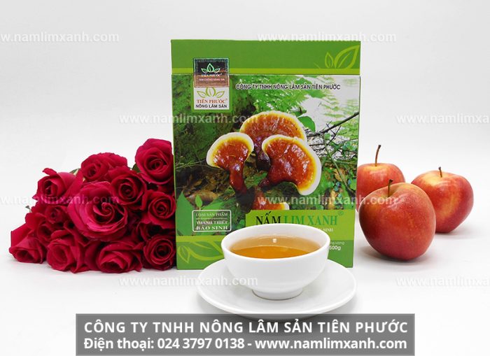 Giá sản phẩm nấm lim xanh Thanh-Thiết-Bảo-Sinh của Công ty TNHH Nấm lim xanh Việt Nam.jpg