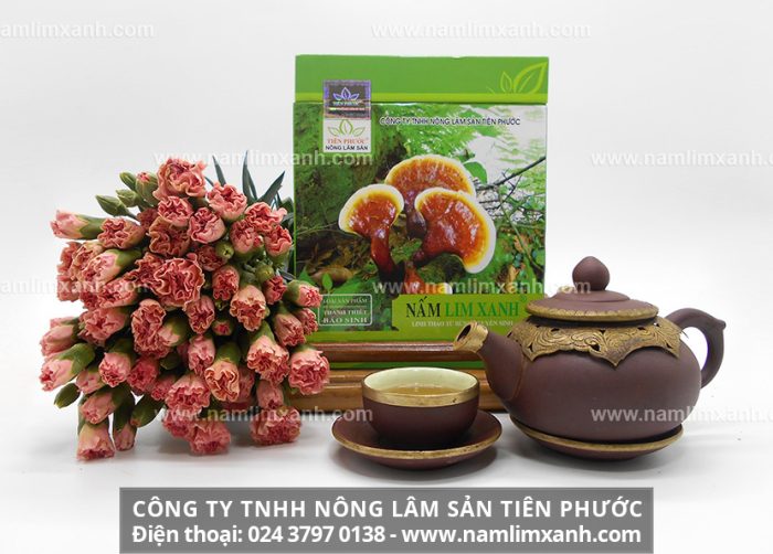 Mua nấm lim xanh tại Công ty TNHH Nấm lim xanh Việt Nam để đảm bảo an toàn sức khỏe