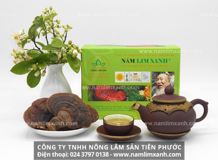 Nấm lim mua ở cơ sở phân phối của Công ty TNHH Nấm lim xanh Việt Nam là đảm bảo và giá bán nấm lim xanh