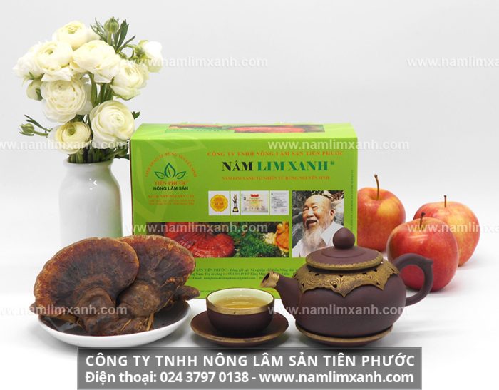 Nấm lim xanh Nguyên cây của Công ty TNHH Nấm lim xanh Việt Nam