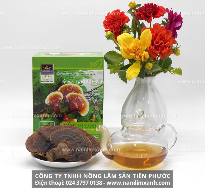 Nấm lim xanh của Công ty TNHH Nấm lim xanh Việt Nam có giá chuẩn nấm lim rừng