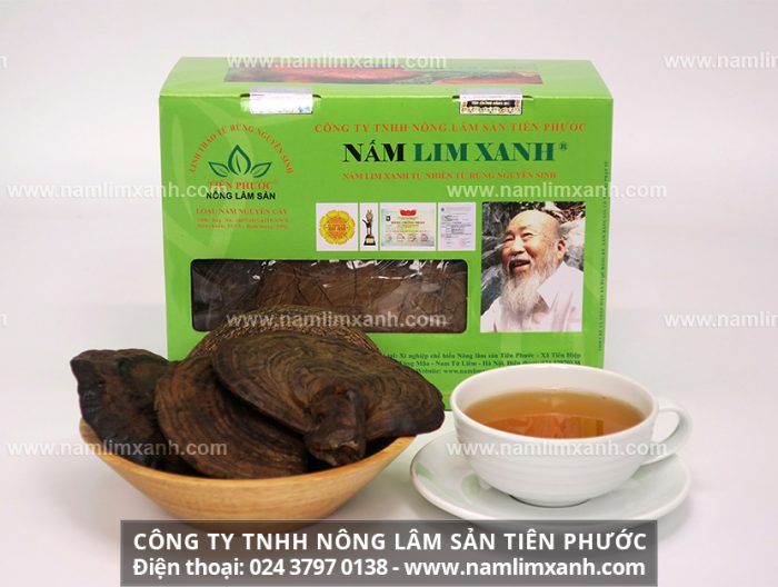Nấm lim xanh rừng tự nhiên của Công ty TNHH Nấm lim xanh Việt Nam
