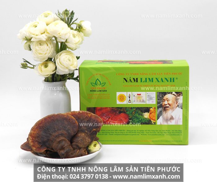 Sản phẩm nấm lim xanh Nguyên cây của Công ty TNHH Nấm lim xanh Việt Nam