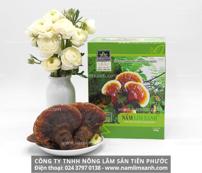 Sản phẩm nấm lim xanh Thanh-Thiết-Bảo-Sinh của Công ty TNHH Nấm lim xanh Việt Nam