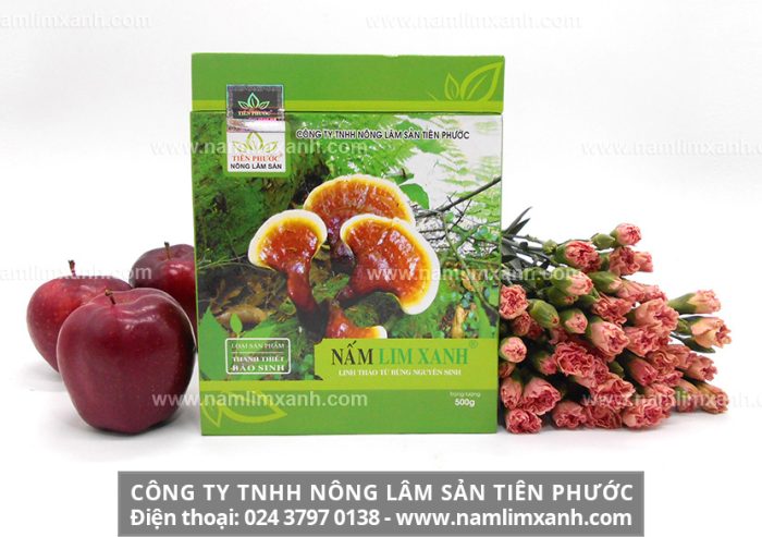 Mua nấm lim xanh ở Bình Thuận tại những địa chỉ uy tín ?