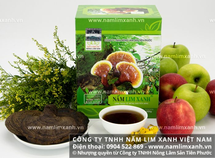 Nấm lim rừng được phân phối bởi Công ty TNHH Nấm lim xanh Việt Nam