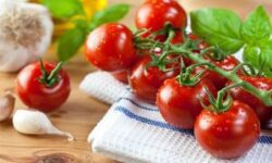 cà chua giúp ngăn ngừa ung thư da
