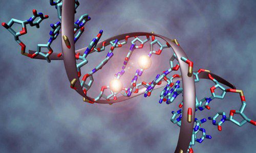Gen di truyền góp phần rất lớn vào nguy cơ gây ung thư tinh hoàn