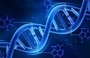Gen di truyền chiếm 50% trong các nguy cơ mắc bệnh