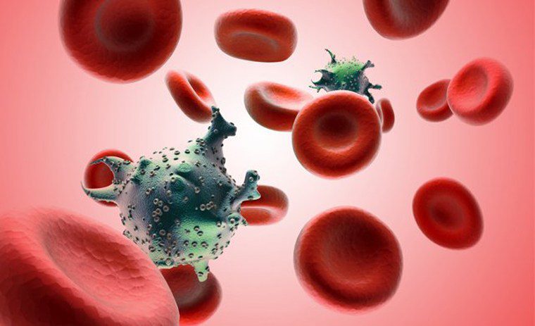 Hình ảnh tế bào ung thư máu