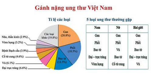 Gánh nặng ung thư ở Việt Nam
