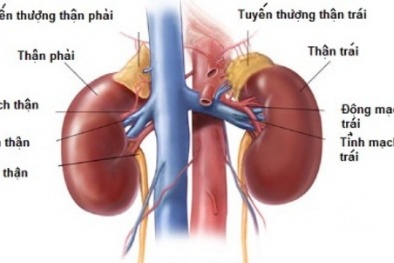 Bí quyết chăm sóc thận